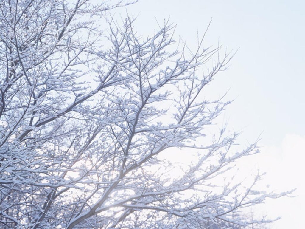 年末のご挨拶画像